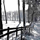 Den Treek Amersfoort Holland